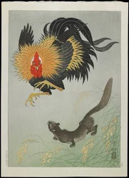 Coq et belette, années 1930